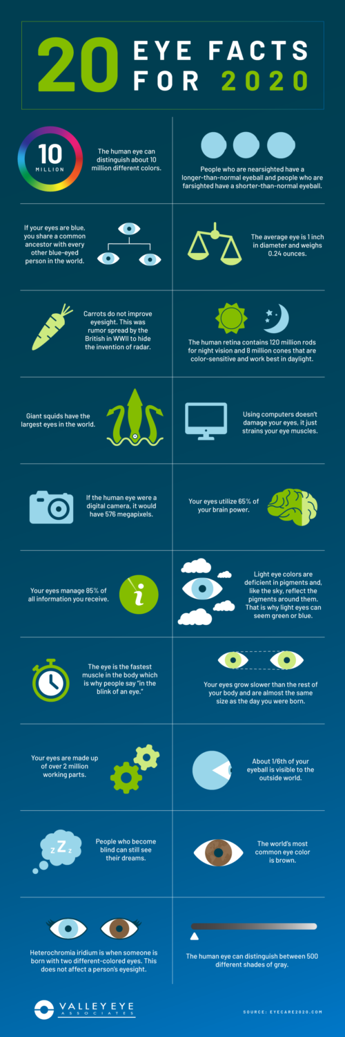 Valley Eye Associates' 2020 Eye Facts Valley Eye Associates