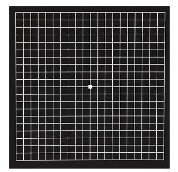 Disoriented Vision Grid Seeing the Future: Raising Awareness for AMD and Low Vision | Valley ...